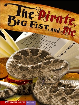 cover image of The Pirate, Big Fist, and Me